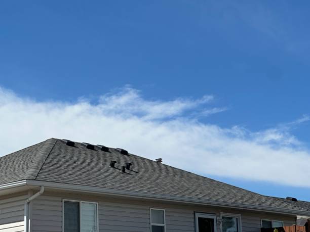 Best Roof Maintenance and Cleaning  in Desert Aire, WA